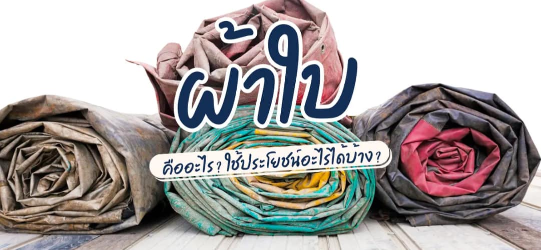 Luckybacaบาคาผ้าใบ